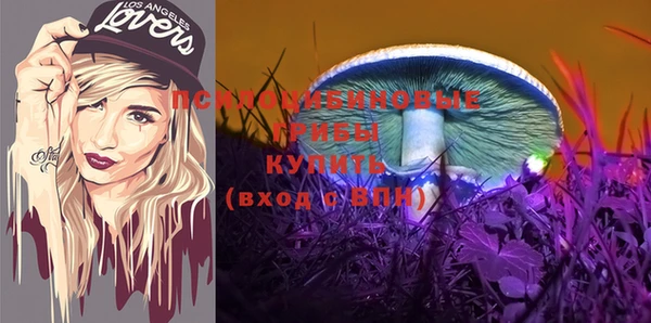 эйфоретик Володарск