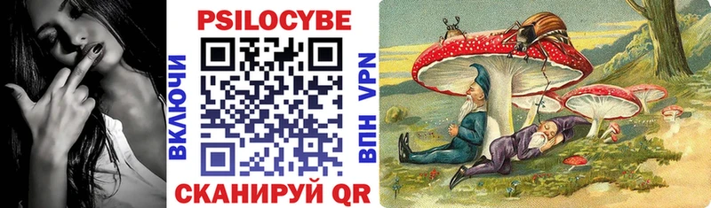 купить закладку  Цоци-Юрт  Псилоцибиновые грибы Psilocybine cubensis 